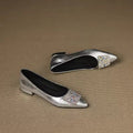 Willow Silver Crystal-Embellished Pointed Flats: